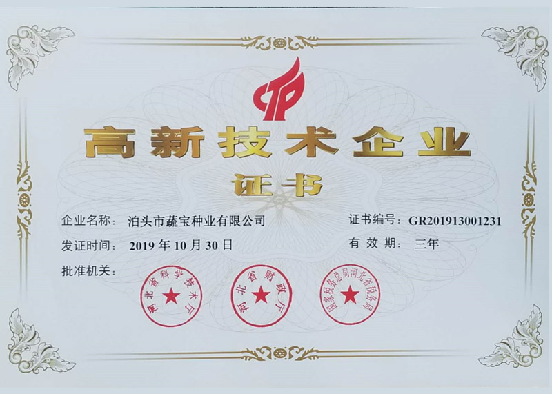 資質(zhì)榮譽(yù)