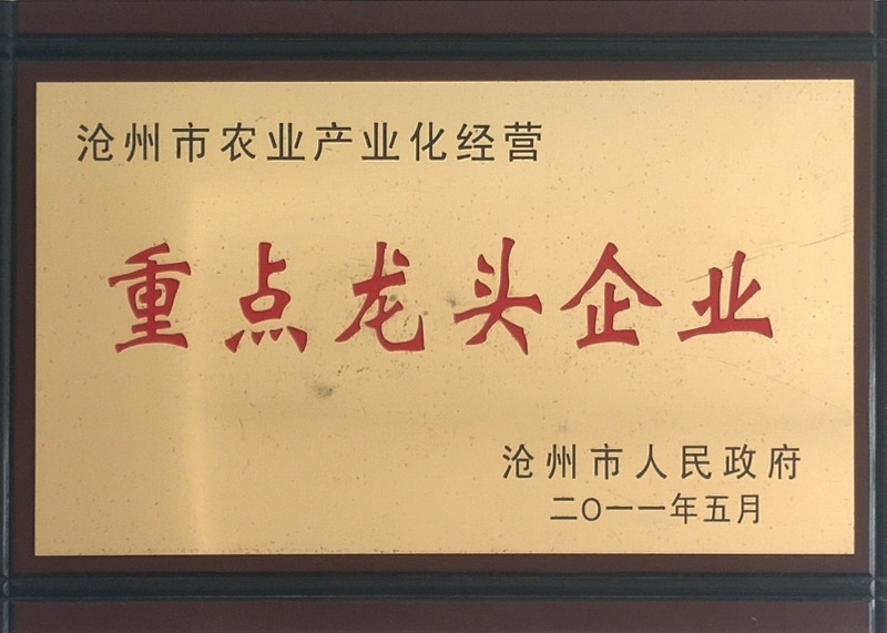 資質(zhì)榮譽(yù)