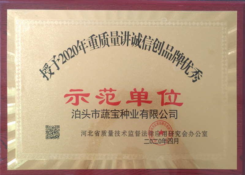 資質(zhì)榮譽(yù)
